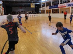 mini-IMG_7248